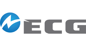 Electric Cities of Georgia