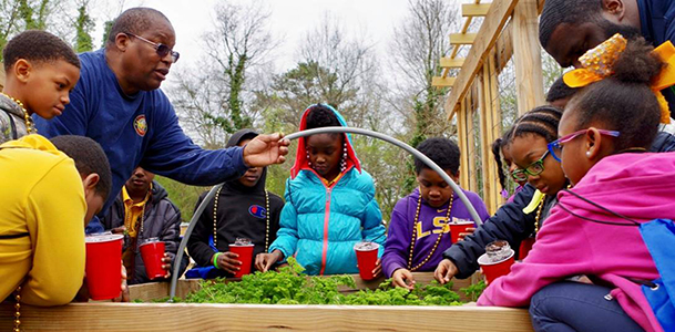 Food Forest 2