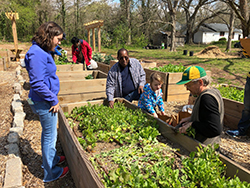 Food Forest3