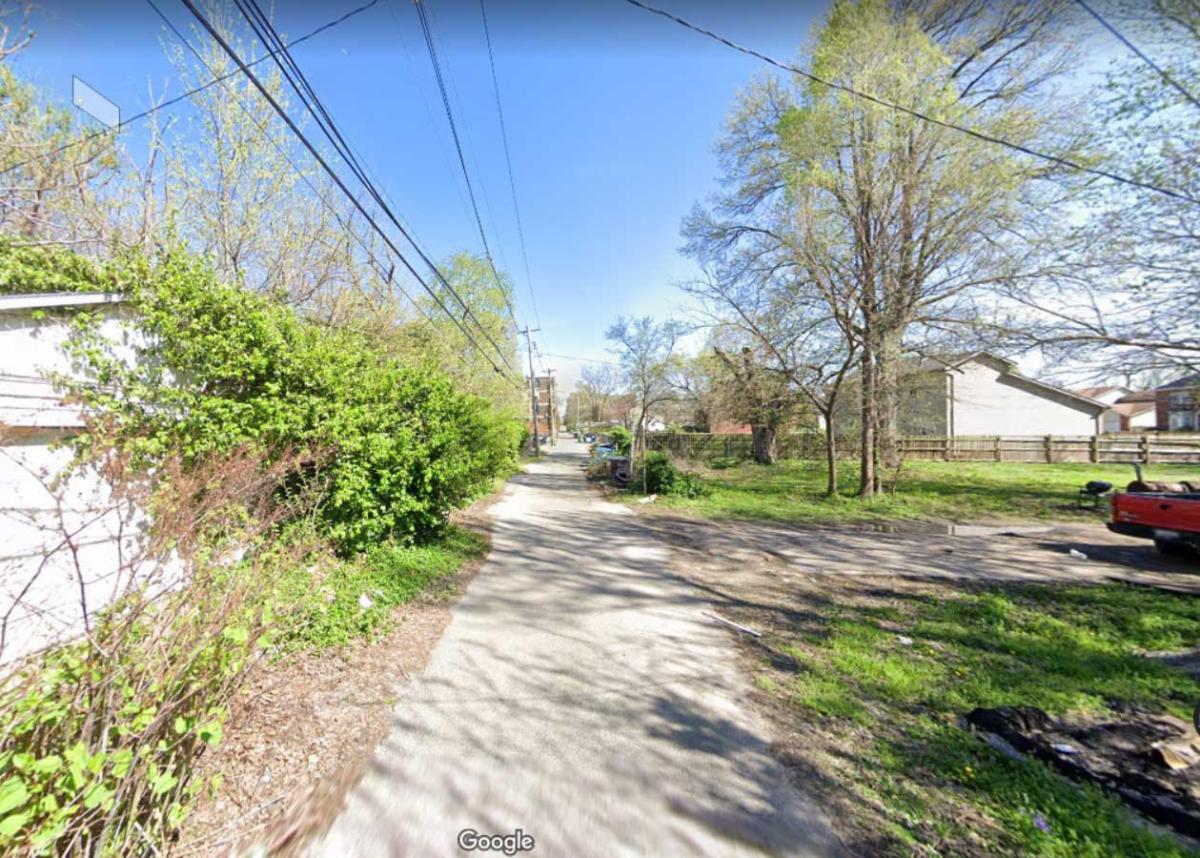 An alley in St. Louis. Google street view.
