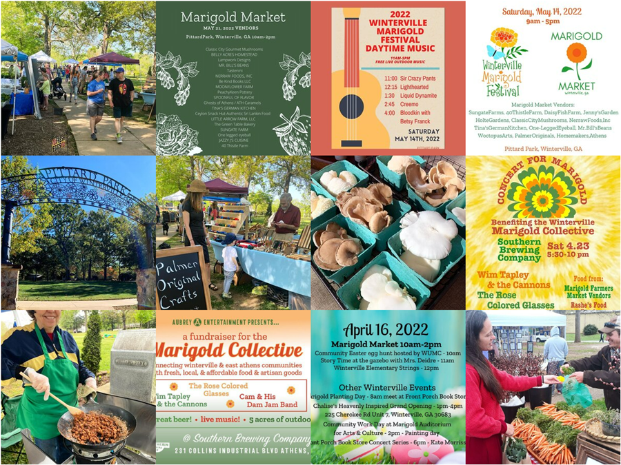 Marigold_Market_Instagram.png Marigold_Market_Instagram.png