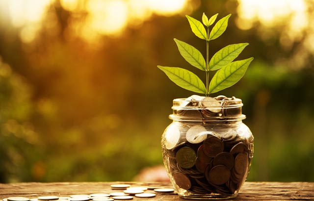 Programs and Funding Opportunities