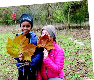 Children playing in the park with large leaves. 